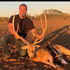 Texas Axis Deer Hunts